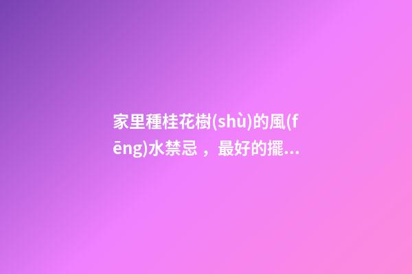 家里種桂花樹(shù)的風(fēng)水禁忌，最好的擺放位置在這